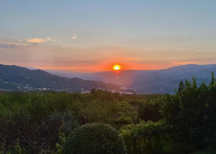 Quinta De Casalmato